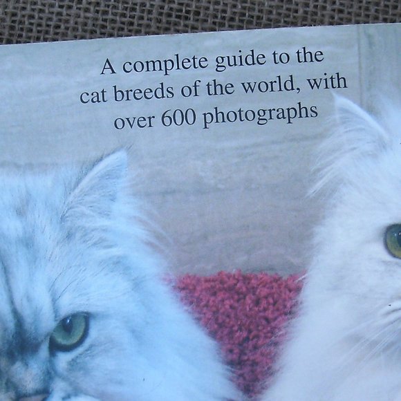 Ultimate Guide to Cat Breeds by Louisa Somerville - Picture 15 of 16